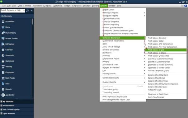 QuickBooks Desktop Premier Accountant 2020