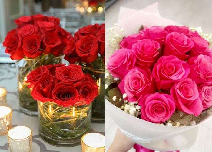 Love Rose Flower Images Free Download Download