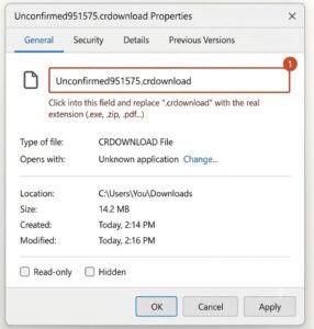 Windows Properties dialog General tab showing the file extension field