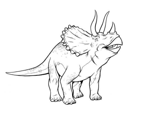 Old triceratops coloring page