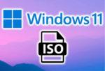 windows 11 iso