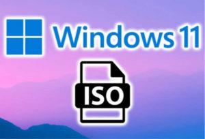 windows 11 iso