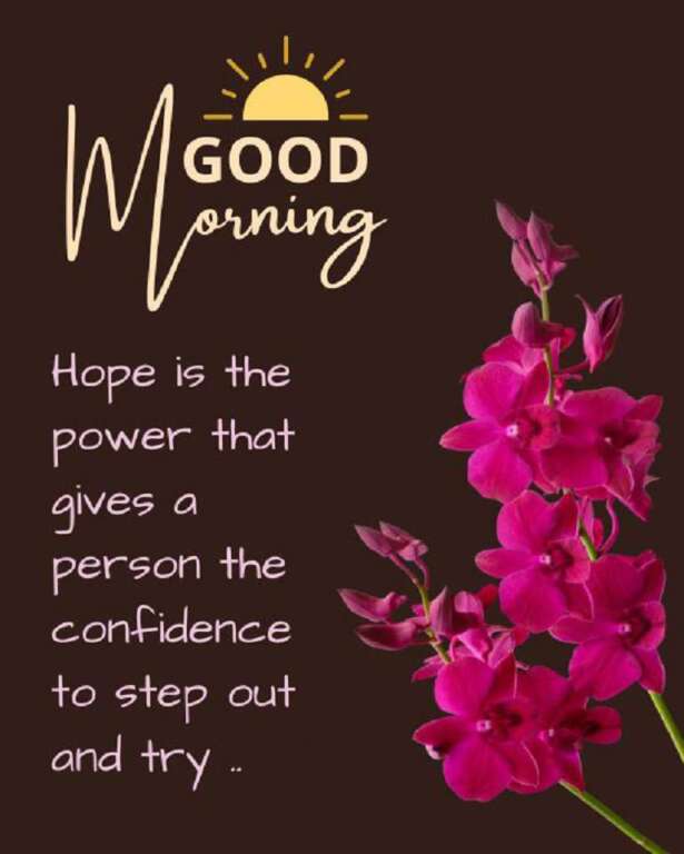 Happy Sunday morning. Imagine a Sunday morning spent enjoying the peace of free time. A morning full of joy, away from busy schedules, awaits you. May the sun's warmth gift you the peace and happiness that comes from admiring today's beauty.