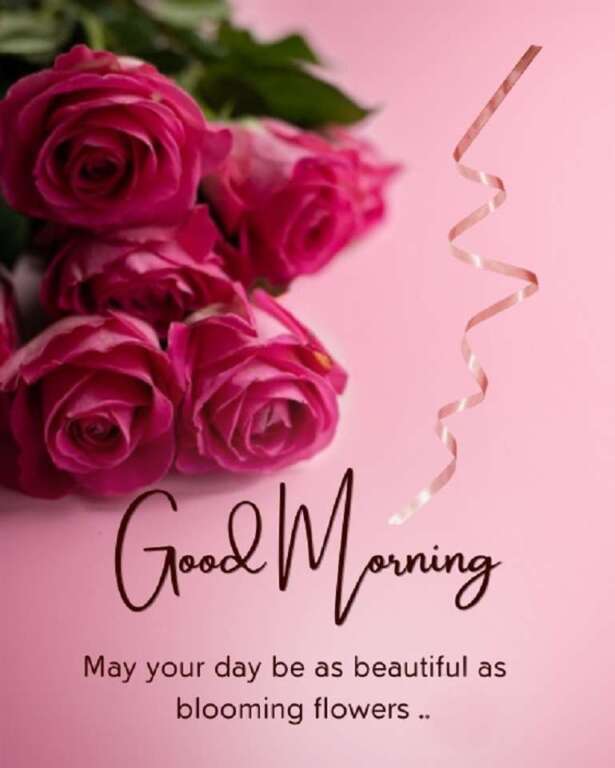 Good morning poster. When you plant positive thoughts, anything is possible.