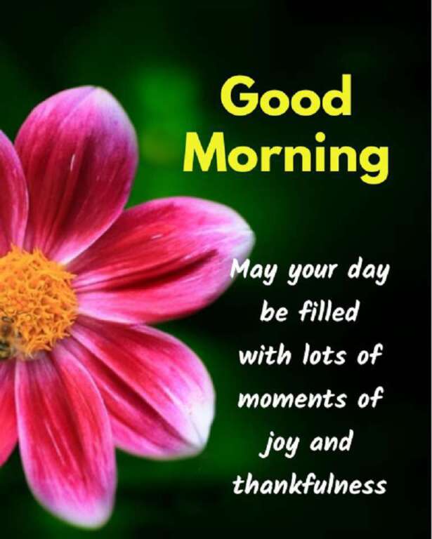 Good morning, nature. When you wish others well, that goodness returns to you. This is the law of nature.