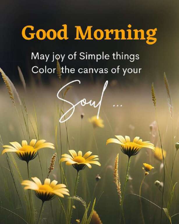 Start your day with your sparkle! As the sun greets the day, let your own glow illuminate the world around you. Shine with positivity, sprinkle kindness like stardust, and may your day be as magical as the twinkle in your eye. Good morning, may the star's enchanting glimmer guide your journey.