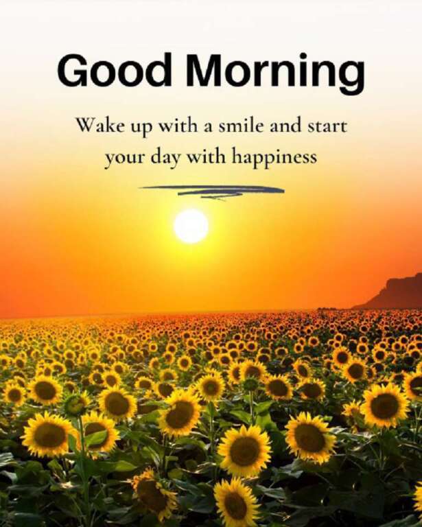 Forward with Thursday's power! Today isn't just any day; it's a reminder that the weekend is near and you've successfully navigated the week! Embrace positivity, overflow with cheer, and let Thursday be your gateway to a fantastic weekend. Good morning, may your Thursday be filled with happiness and excitement!