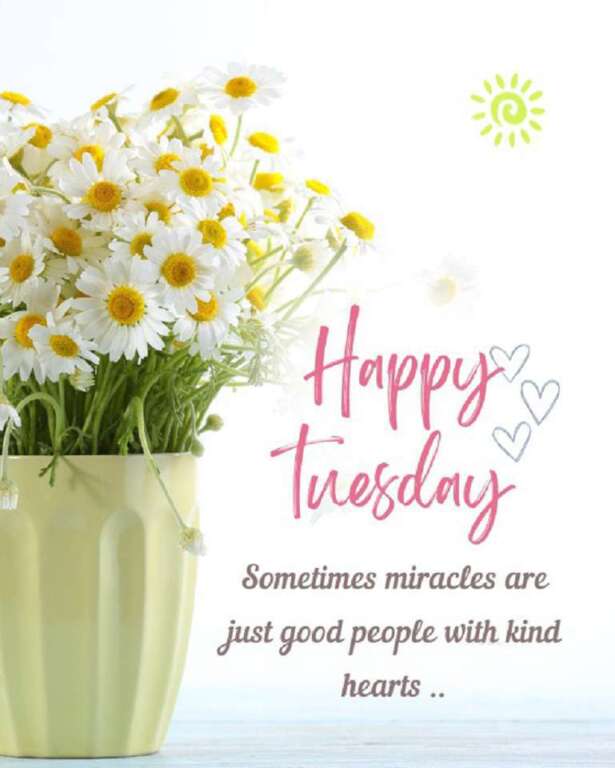 Wishing you a day filled with blessings! Just as the sun adorns the sky, may your day be filled with the warmth of divine blessings. May they guide your efforts, lighten your burdens, and fill your heart with the gift of a new day. May your morning be like a prayer full of peace, and may serenity be with you throughout the day. Good morning, may your journey be wrapped in heaven's peace.