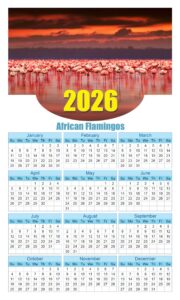 Calendar 2026 With Holidays African-Flamingos