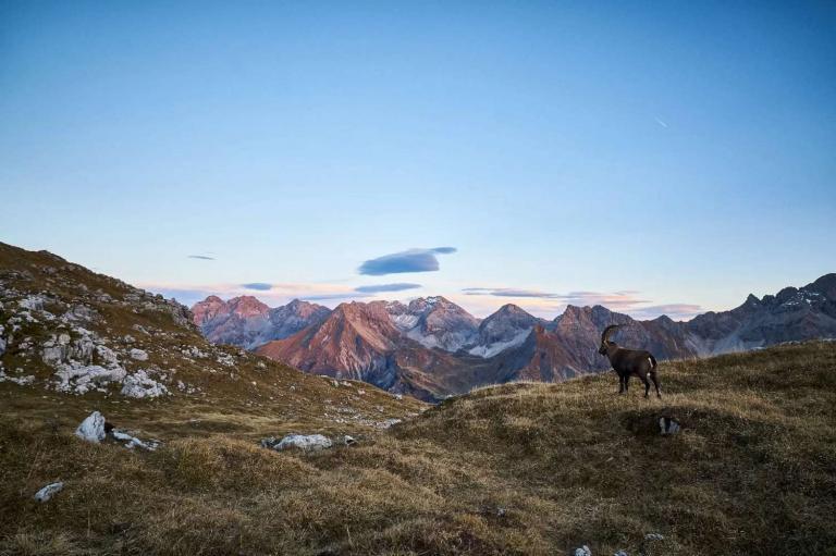 mountain range in distance